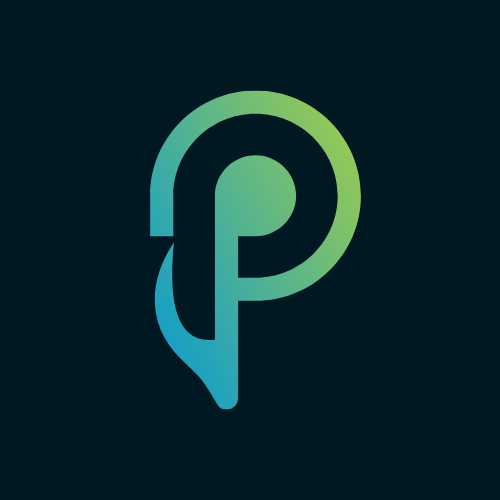 Co-directora El Panorama, mitjà de música urbana en català